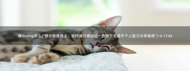 糖心进入