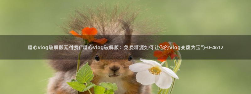 糖心vlgo精品一区二区：糖心vlog破解版无付费(\