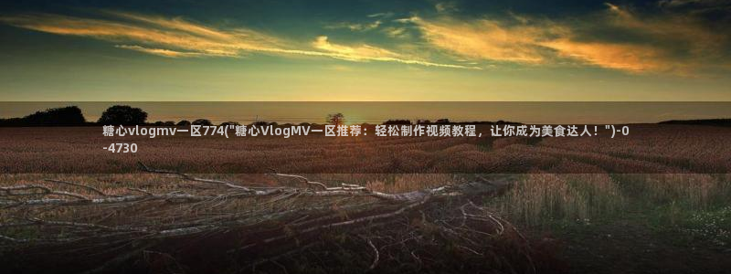 糖心vlgo安装包